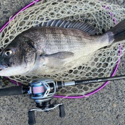 雨上がりチニング！