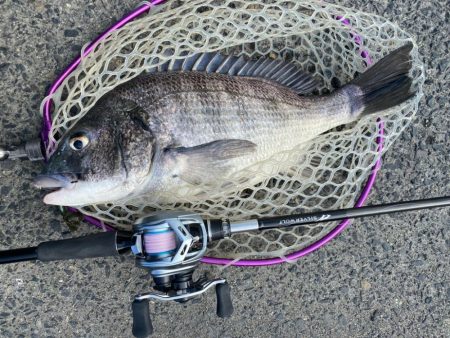 雨上がりチニング！