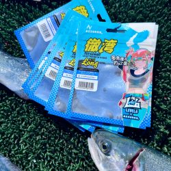 サーモン/脈釣り