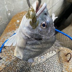 ストレートフック活躍