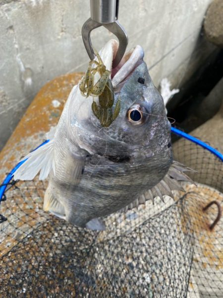 ストレートフック活躍