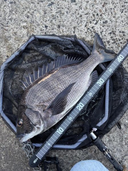 ヘチってきました