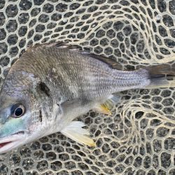 夕方2時間チニング！