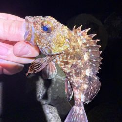 寒い！寒すぎる！