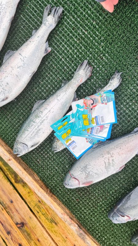 サーモン/脈釣り