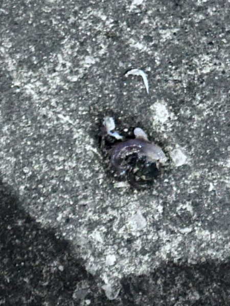 はじめてちゃんとバチ抜けパターンやれた！