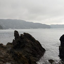 ショアから今年初青物！