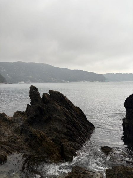 ショアから今年初青物！