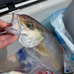 伊勢湾ジギング