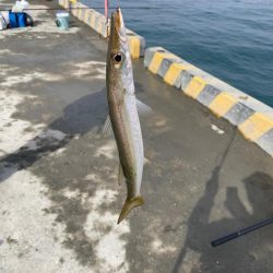 煙樹ヶ浜での釣り