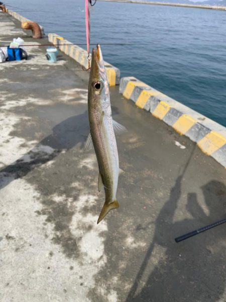 煙樹ヶ浜での釣り