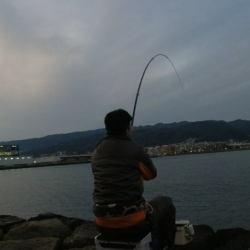 ハネの活性高し!夜でもOK!