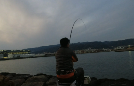 ハネの活性高し!夜でもOK!