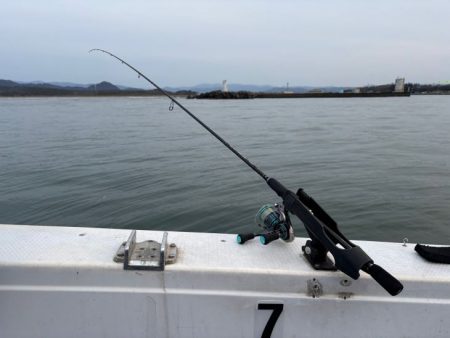 鳥取港近海アジサビキ｜雨の影響か？激渋で撃沈！