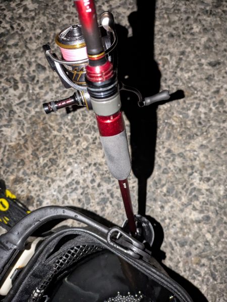 プチ冬眠からの目覚めプラッキング