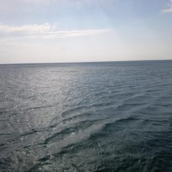 寒の戻り、穴釣り釣行