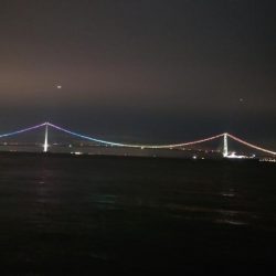 電気ウキ釣り 4 (自己記録更新)