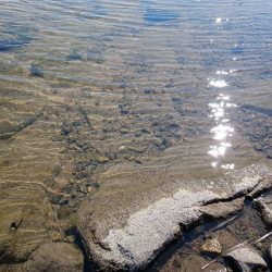 青天、浜からボラフィッシング