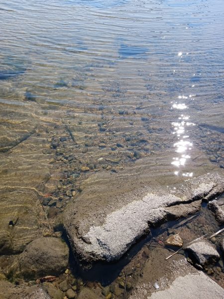 青天、浜からボラフィッシング