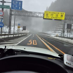 寒い雨で活性低い