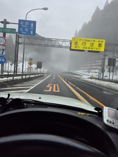 寒い雨で活性低い