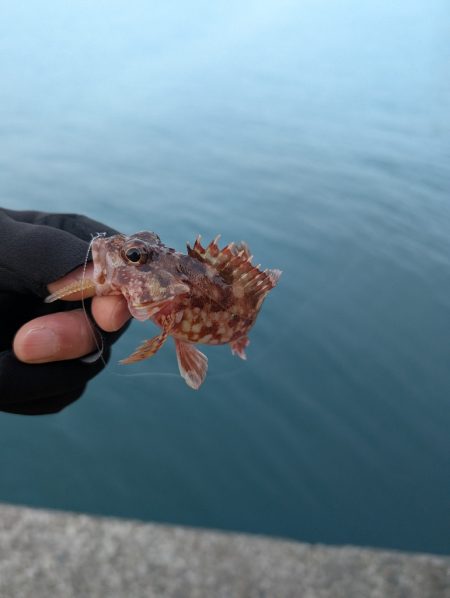 陸っぱり釣行記