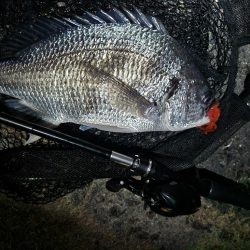 チニングでカレイとマゴチ！