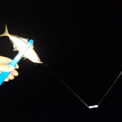 春パターンアジング