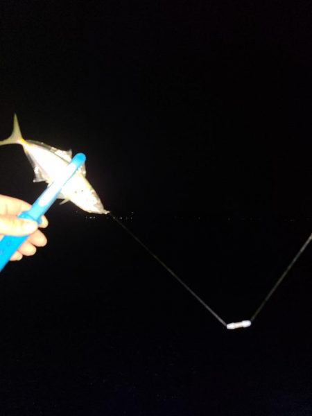 春パターンアジング