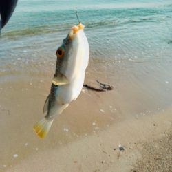 まだキスには早い…