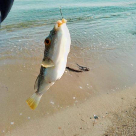 まだキスには早い…