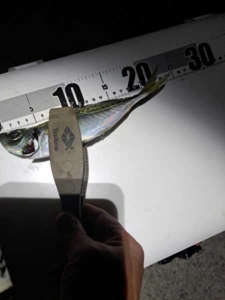 地合いわずか10分