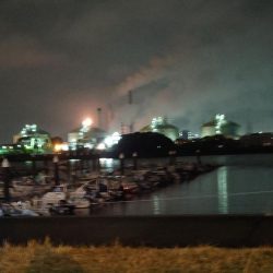 ボートメバリング