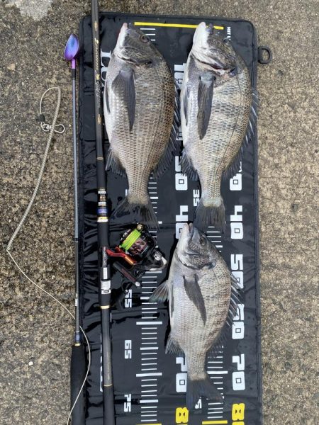 チヌフカセ釣り