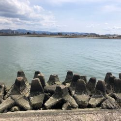 大潮ど干潮釣行