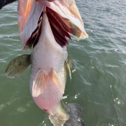 北山田ロクマル5キロオーバー!