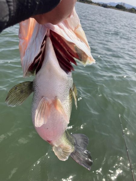 北山田ロクマル5キロオーバー!