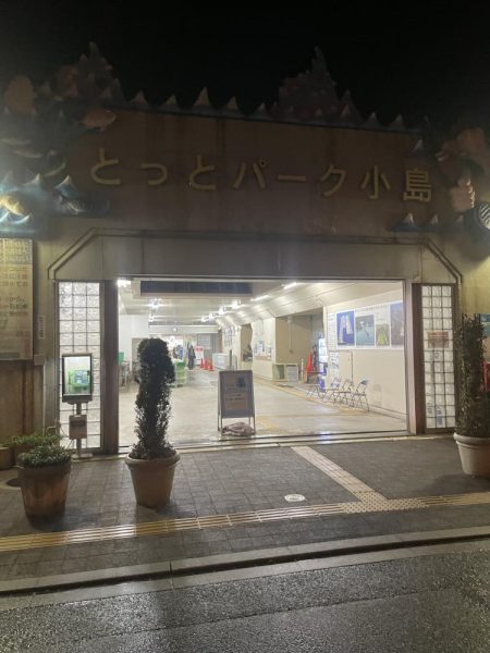 メバルリベンジ