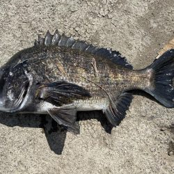 イチノ兄弟、釣果！