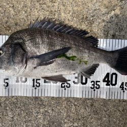 イチノ兄弟、釣果!