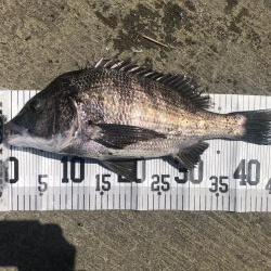 イチノ兄弟、釣果!