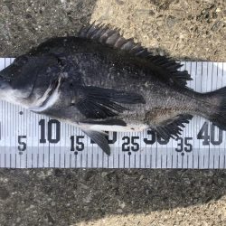 イチノ兄弟、釣果！