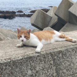 フロートメバリング!