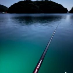 アジングでヤリイカ、、