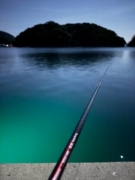 アジングでヤリイカ、、