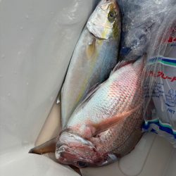 伊勢湾ジギング