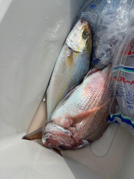 伊勢湾ジギング