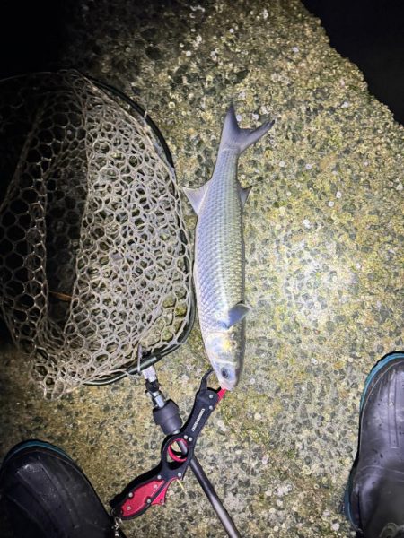 先行者さんのおかげです!!