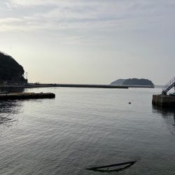 メバリング&ロックフィッシュの旅