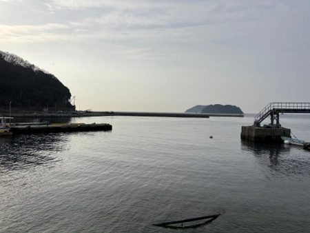 メバリング&ロックフィッシュの旅